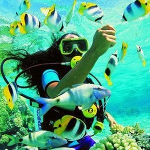 Meet your Posher, Mina